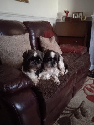 316284156_1094214877919122_4080103971071153682_n (1).jpg