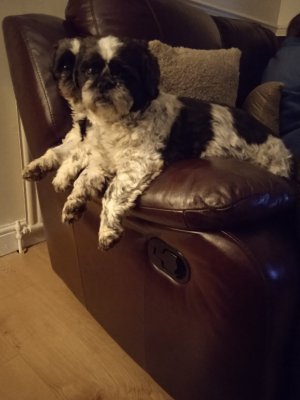 1669232376310 (1).jpg