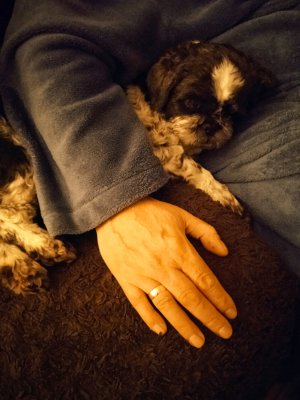 1669487317505 (2).jpg