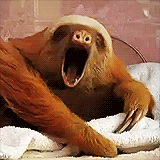 giphy[1].gif