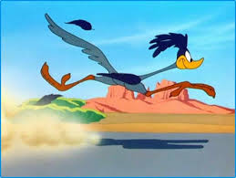 Road runner.png