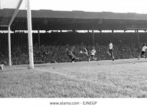 manchester-united-footballer-george-best-in-action-against-sheffield-EJNEGP.jpg