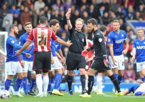 image.jpeg image.jpeg