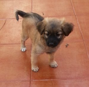 2015-12-01 13.40.52 (2).jpg