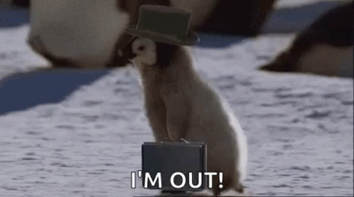 1673942473825.gif
