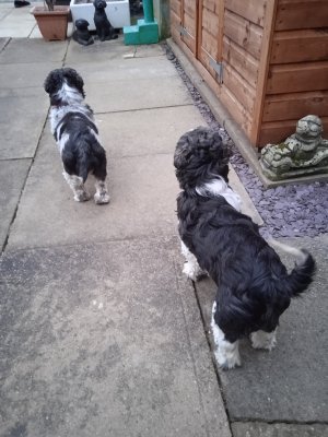 1671013358275 (8).jpg