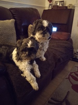 1670952267539 (5).jpg