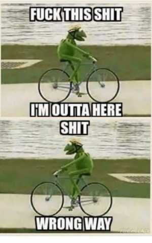 fuck-this-shit-itm-outta-here-shit-wrong-way-21628761.png