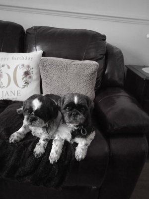 1667917929543 (1).jpg