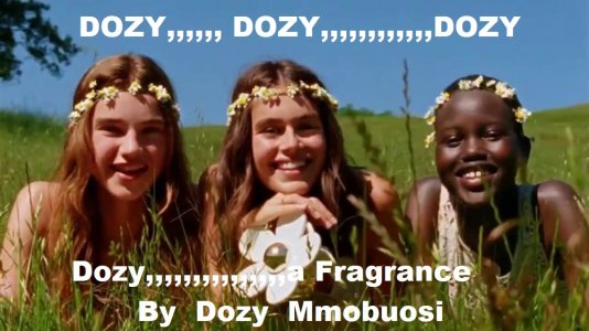 DAISY1.jpg