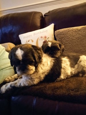 319349864_1192416894965903_8489456170442578519_n (2).jpg