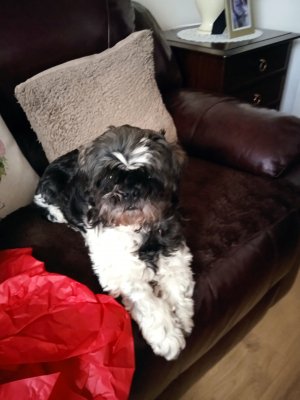 1671969992606 (1).jpg