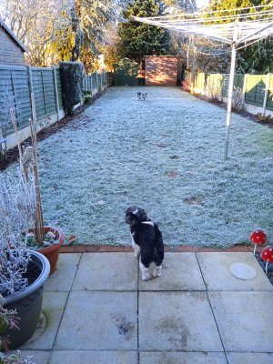 1671013358264 (6).jpg