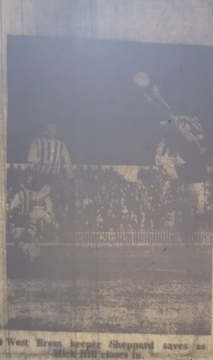 WBA68sheppard.jpg