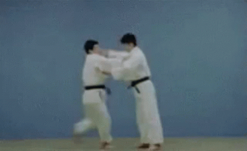 1676243519514.gif