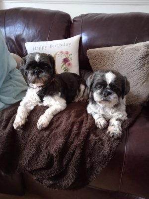 1675359211588 (7).jpg