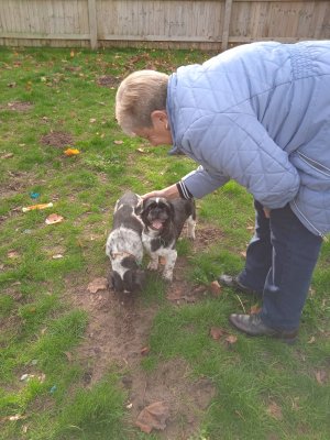 1666712576451 (1).jpg