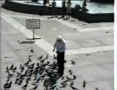 106D7E44-DBC4-46EC-991C-77CBEF83813C.gif