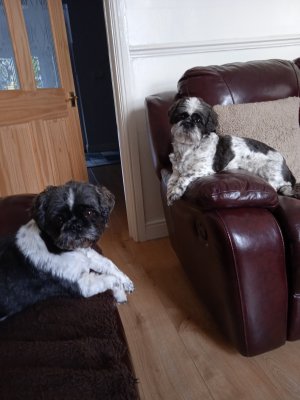 1677831405832 (1).jpg