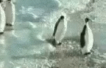 lol-penguin.gif