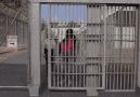 i-am-free-out-of-jail.gif