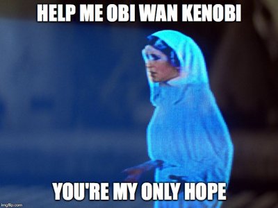 1678750801854.jpeg