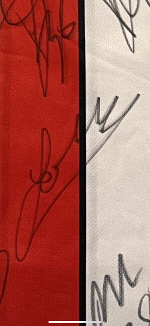 030A0CE1-E62D-48B6-8651-0C17BE9970C4.png