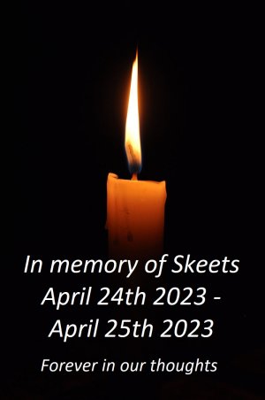 800px-Candle.jpg