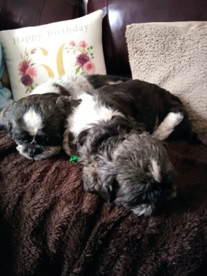 1667984397894 (2).jpg