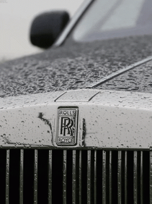 E3968326-8E57-4764-AE06-F3C1C0F1B86A.gif