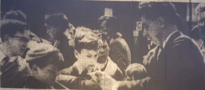 Liv63share1.jpg