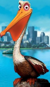 Nigel_the_Pelican.jpg