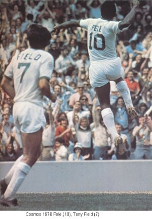 Cosmos 76 Home Back Tony Field.jpg