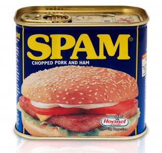 SPAM-can.jpg