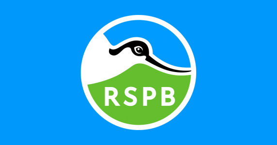 rspb-logo-large_v2.png