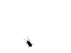 avatar_1303.gif