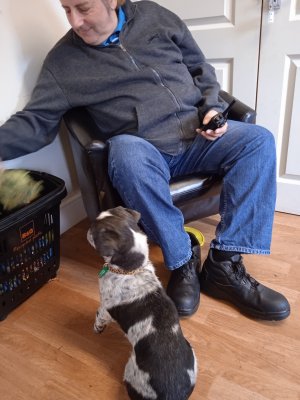 1666713745010 (1).jpg