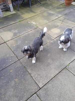 1680169899249 (2).jpg