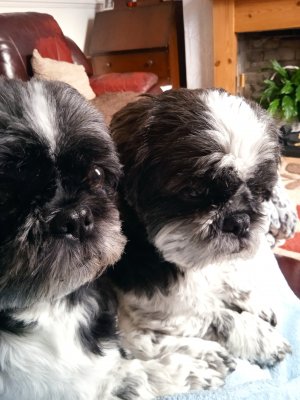 1678362230319 (7).jpg