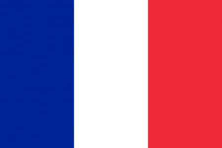 Flag_of_France.svg.png