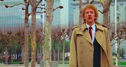 original-479425653.gif