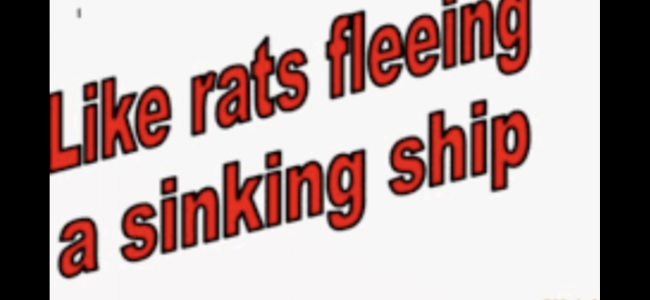 IMG_0845.png