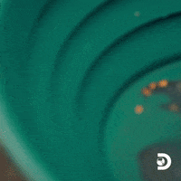 IMG_3124.gif