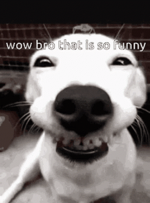 1691763470934.gif