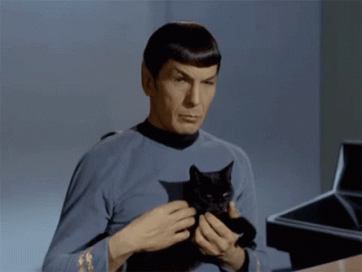 SPOCK.gif