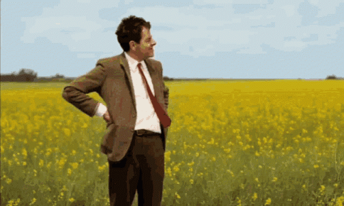 1691774736758.gif