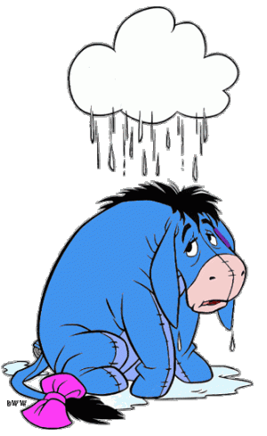 IMG_1554.gif