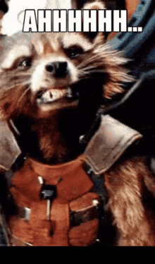 ahhh-rocket-raccoon.gif