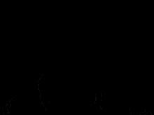 IMG_0381.gif
