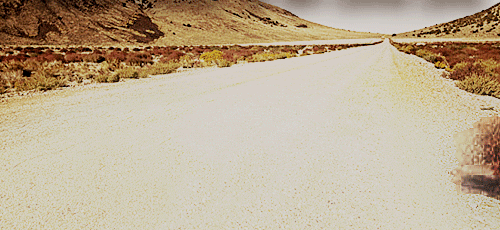 1692643129344.gif